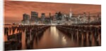 Manhattan skyline with groynes by Assaf Frank